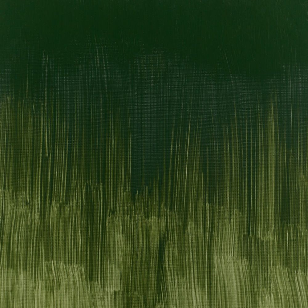 Tinta Óleo Winsor & Newton Winton 37ml 405 Dark Verdigris