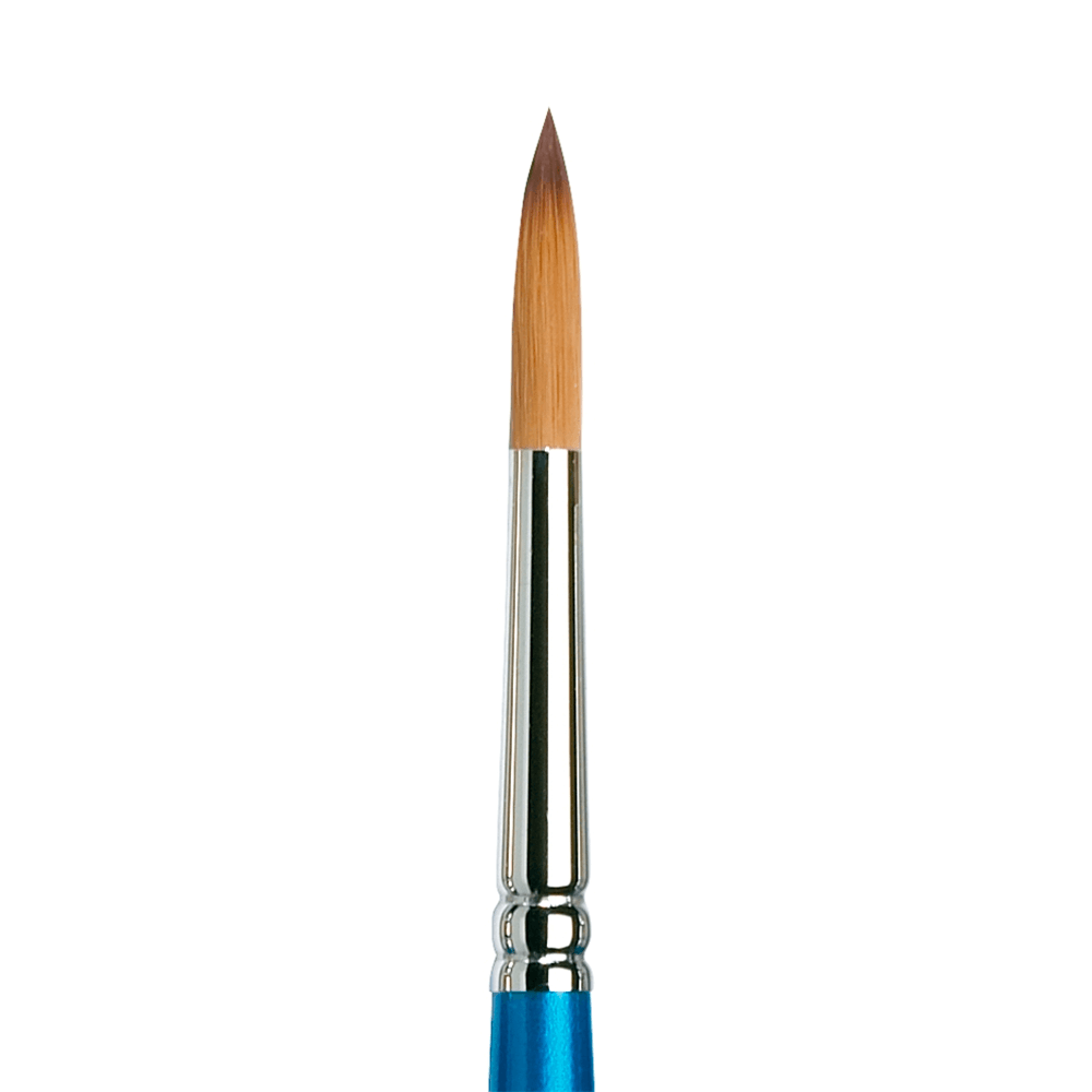 Pincel Winsor & Newton Cotman 111 8