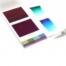 Viviva Colorsheets C/16 Sketcher Colors 