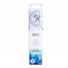 Aquarela Lefranc & Bourgeois 12 Cores Pastilha