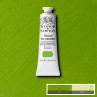 Tinta Óleo Winsor & Newton Artist 37ml S4 Cadmium Green Pale NY