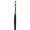 Pincel Winsor & Newton Monarch 06