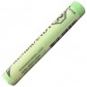 Pastel Seco Rembrandt Talens 618.8 Permanent Green Light