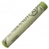 Pastel Seco Rembrandt Talens 620.5 Olive Green