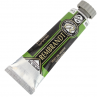 Tinta a Óleo Rembrandt 15ml 623 Sap Green – G2