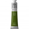 Tinta Óleo Winsor & Newton Winton 200ml 599 Sap Green